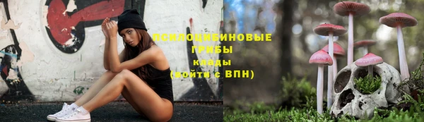 сатива Волоколамск