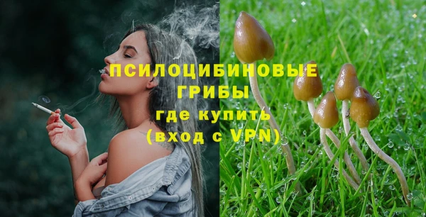 сатива Волоколамск