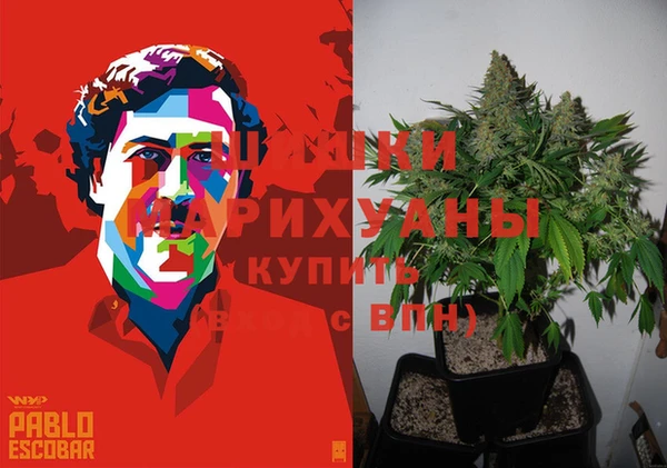 ПСИЛОЦИБИНОВЫЕ ГРИБЫ Верхнеуральск