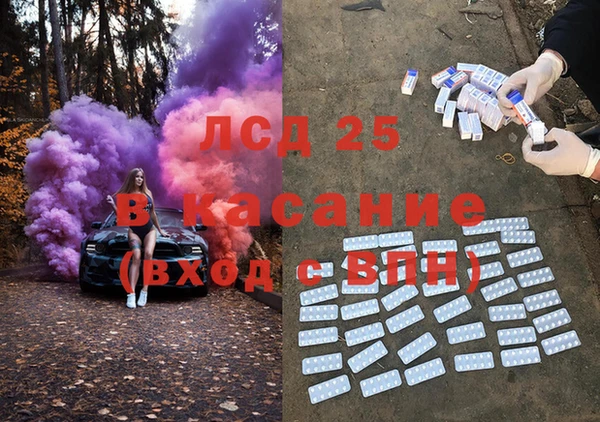 сатива Волоколамск