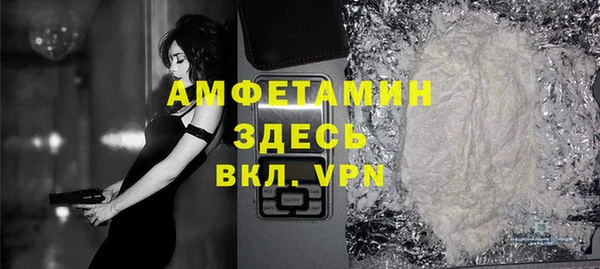 сатива Волоколамск
