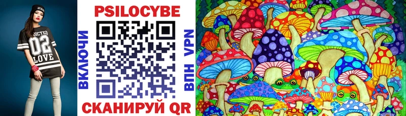 Псилоцибиновые грибы Psilocybine cubensis  магазин продажи   Санкт-Петербург 